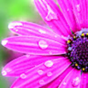 Meet your Posher, Kimberly c.